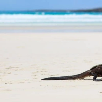 tourhub | On The Go Tours | Galapagos Encounters - 7 days 