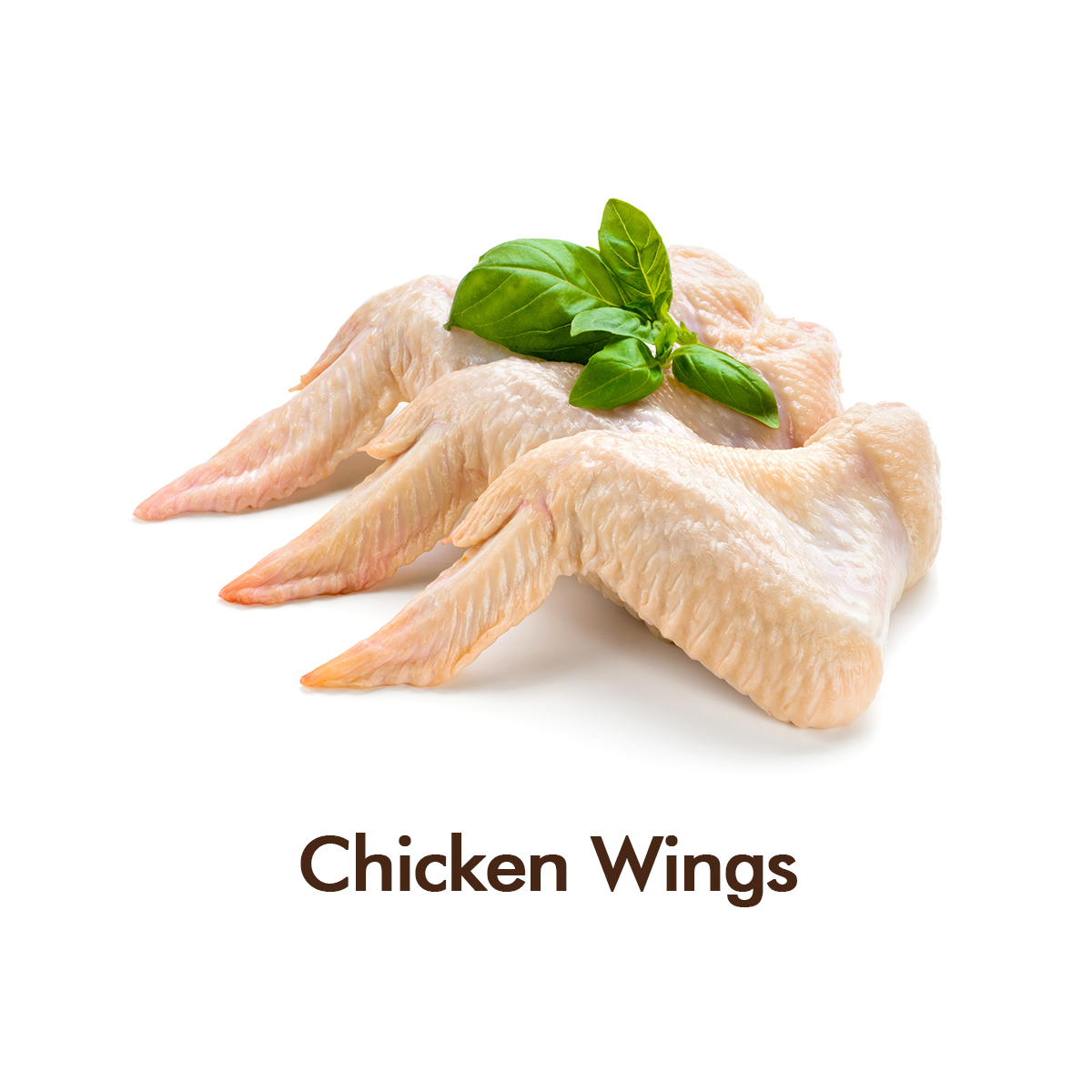 Chicken Wings Raw