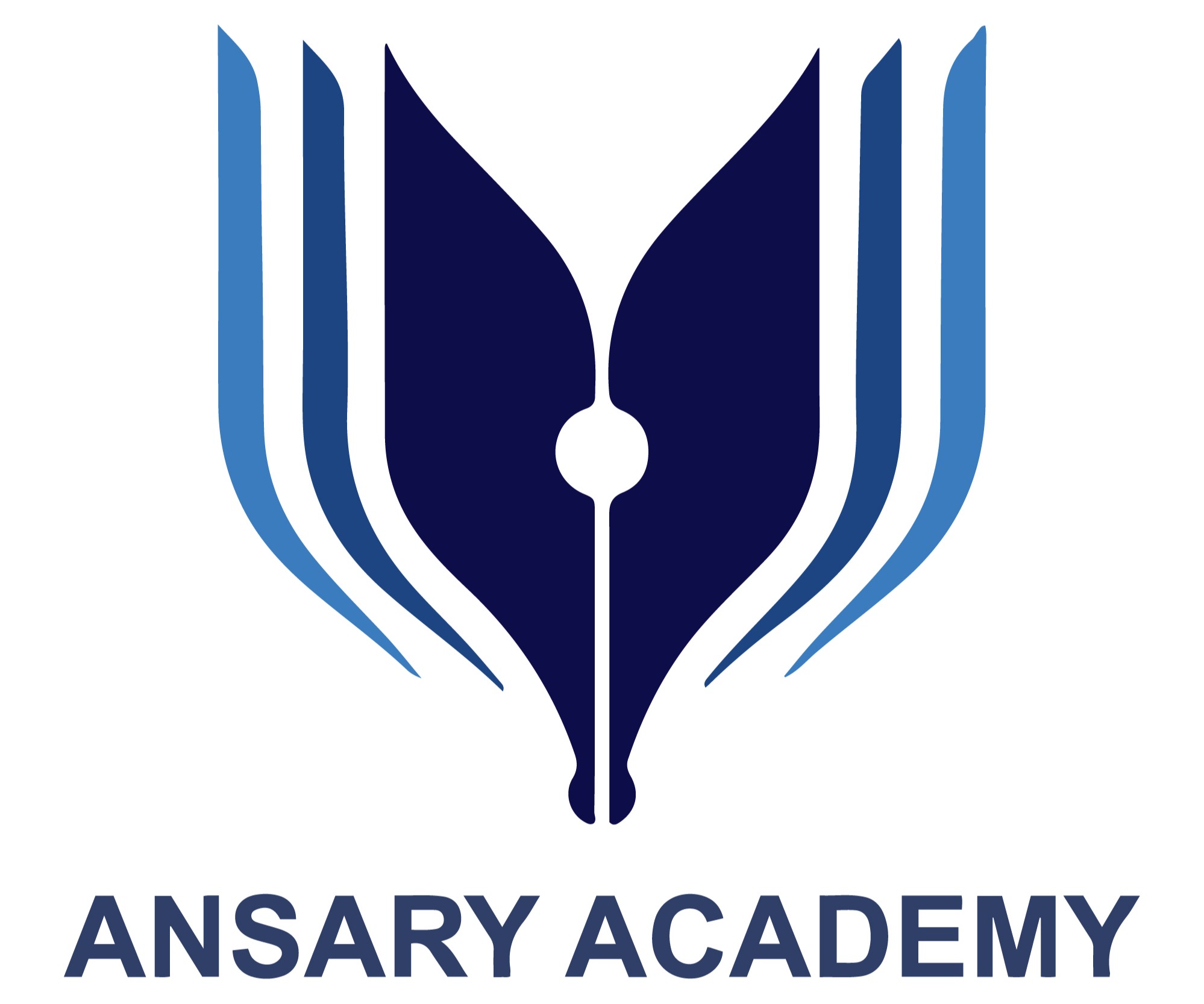 Ansary Academy USA Inc logo