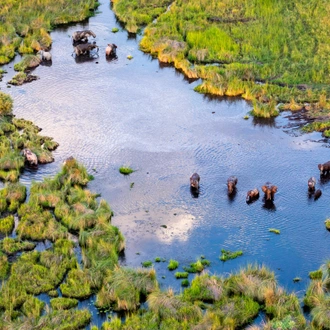 tourhub | Exodus Adventure Travels | Namibia & Botswana: Dunes & Delta 