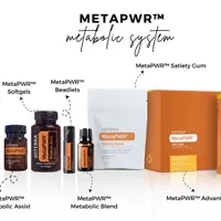 Metabolic Reset and Support Program