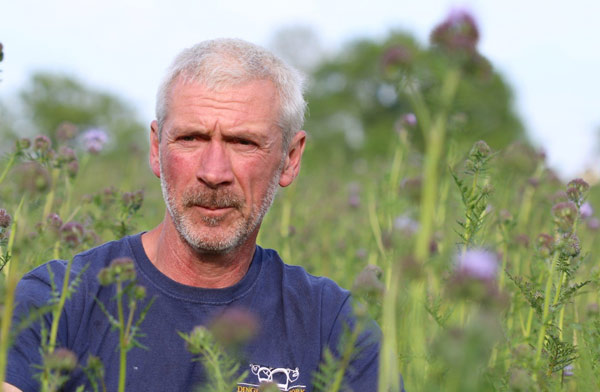 Paul Haywood and the bee-friendly wildflowers