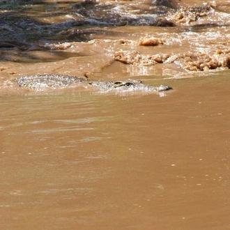 tourhub | Frenzy Adventures Limited | 2.5 Days Tsavo East and Ngutuni 