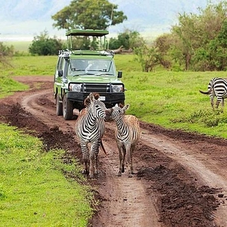 tourhub | Gracepatt Ecotours Kenya | 6 Days Masai Mara Wildebeest Migration Safari Holiday 