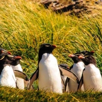 tourhub | Brightwater Holidays | Chile & Falkland Islands 6704 