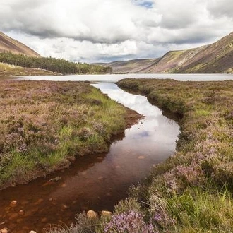 tourhub | On The Go Tours | Scotland Whisky Trail (Hotel) - 3 days 