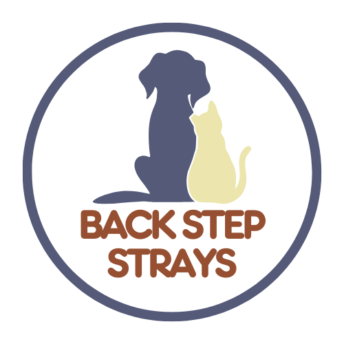 BACK STEP STRAYS logo