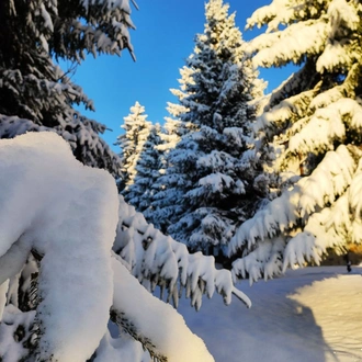 tourhub | Visit Bulgaria On | Private 2-day Trip with Snowshoes 