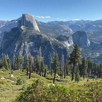 tourhub | Bindlestiff Tours | 11 Day National Parks Tour from Las Vegas to San Francisco via Yellowstone with Camping and Lodging 