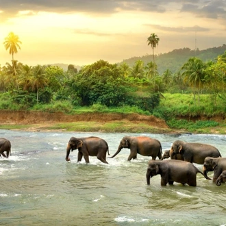 tourhub | TD Active Holidays | Explore Sri Lanka 