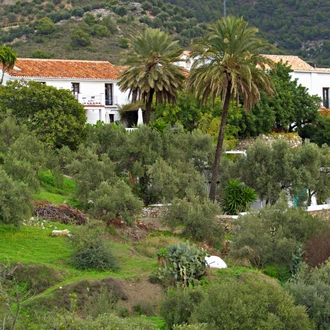 tourhub | Exodus Adventure Travels | White Villages of Andalucia Walk 