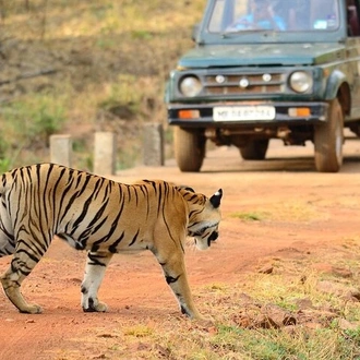 tourhub | Agora Voyages | Tiger Tracks and Timeless Monuments Journey 