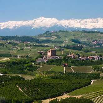 tourhub | Exodus Adventure Travels | Barolo Gastronomic Cycling 