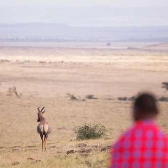 tourhub | Exodus Adventure Travels | Kenya Safari Adventure 