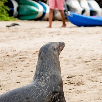 tourhub | Intrepid Travel | Peru & Galapagos Explorer 