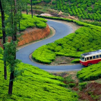 tourhub | Panda Experiences | Tamil Nadu and Kerala Journey 