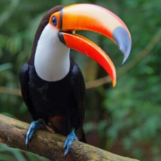 tourhub | Today Voyages | EN Xplore Peru+ Rainforest Extension 4d/3n 