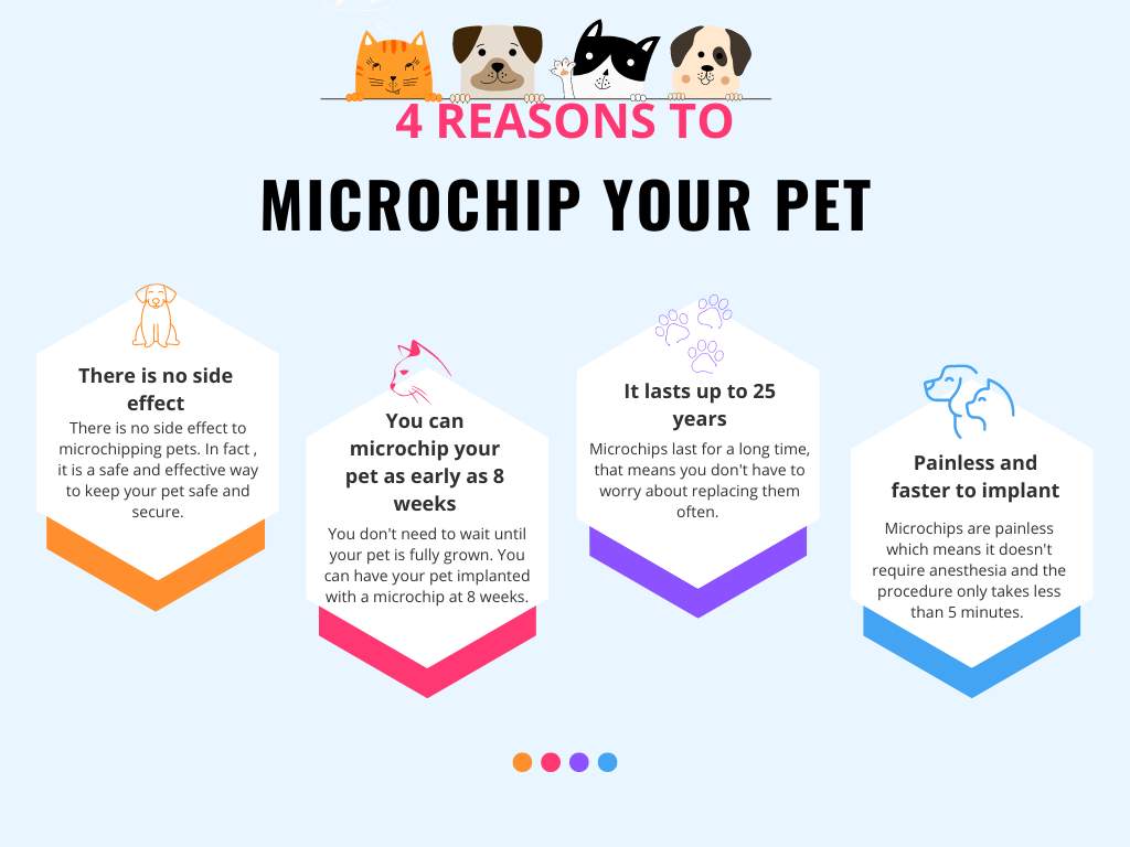 microchipping your pet