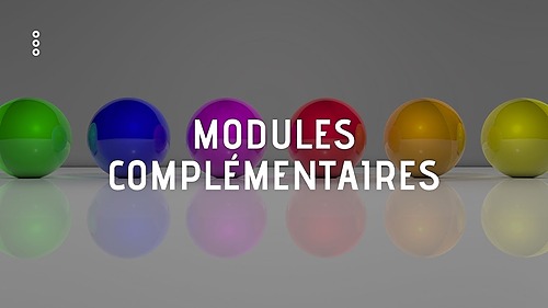 Représentation de la formation : Modules Complémentaires