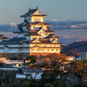 tourhub | YellowWood Adventures | Cultural cities, temples & castles of Imperial Japan 