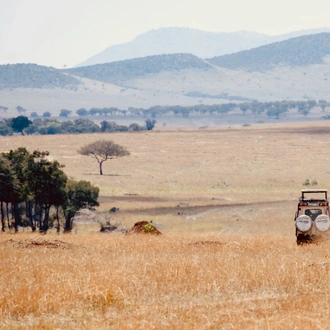 tourhub | Exodus Safaris | 4-Day Tanzania Luxury Safaris (Manyara, Serengeti & Ngorongoro ) 