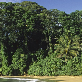 tourhub | YellowWood Adventures | Ecotourism in Costa Rica; rainforests, coffee & coastline 