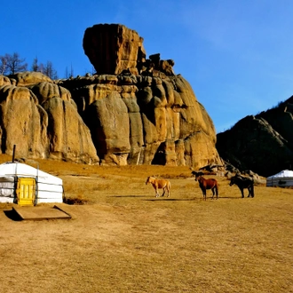 tourhub | Crooked Compass | Cherry Blossoms and Nomads 