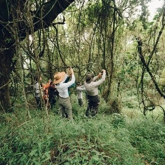 tourhub | Liberty Holidays | 3-Days Chitwan National Park Tour from Kathmandu via Flight  