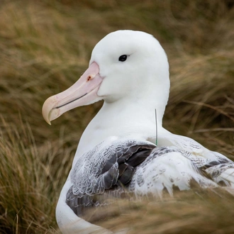 tourhub | Heritage Expeditions | Beyond Fiordland 