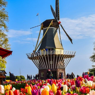 tourhub | Collette | Holland and Belgium Springtime River Cruise  