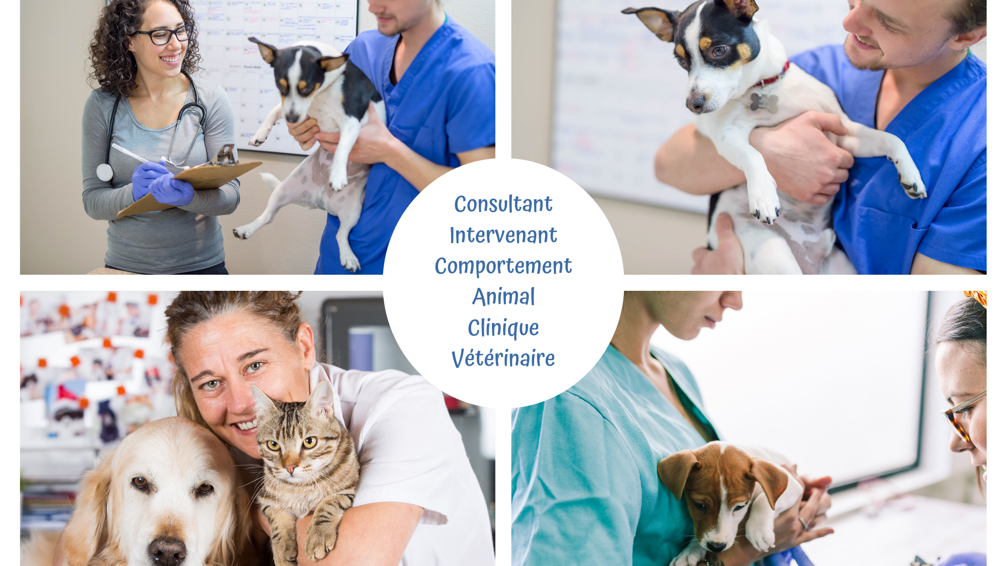 Représentation de la formation : CI en Comportement Animal en Clinique vétérinaire