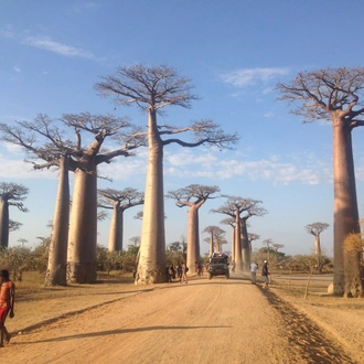 tourhub | Fosa Travel | MADAGASCAR 9 Days Baobabs and Lemurs Tours 