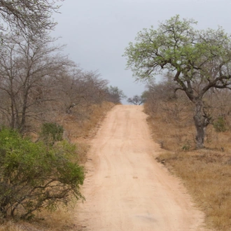 tourhub | Wildlife Dreams | Bird Watching in Kruger (Dates upon request) 