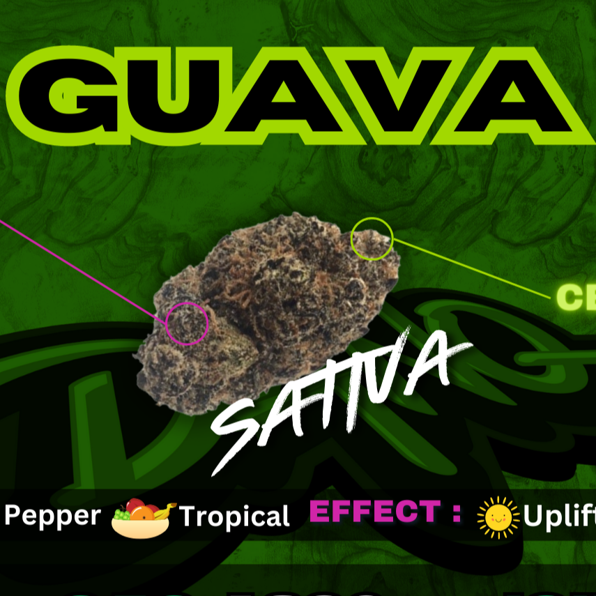 Guava JOINT