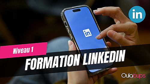 Représentation de la formation : LinkedIn pour développer son réseau et ses ventes (niveau 1)