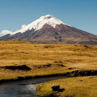 tourhub | On The Go Tours | Ecuador Highlands & Galapagos Islands - 16 days 