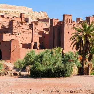 tourhub | Morocco Private Tours | Four days Sahara adventure from Ouarzazate. 