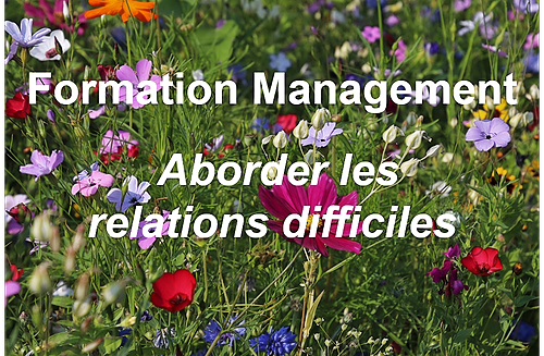 Représentation de la formation : Formation Management : aborder les relations difficiles 