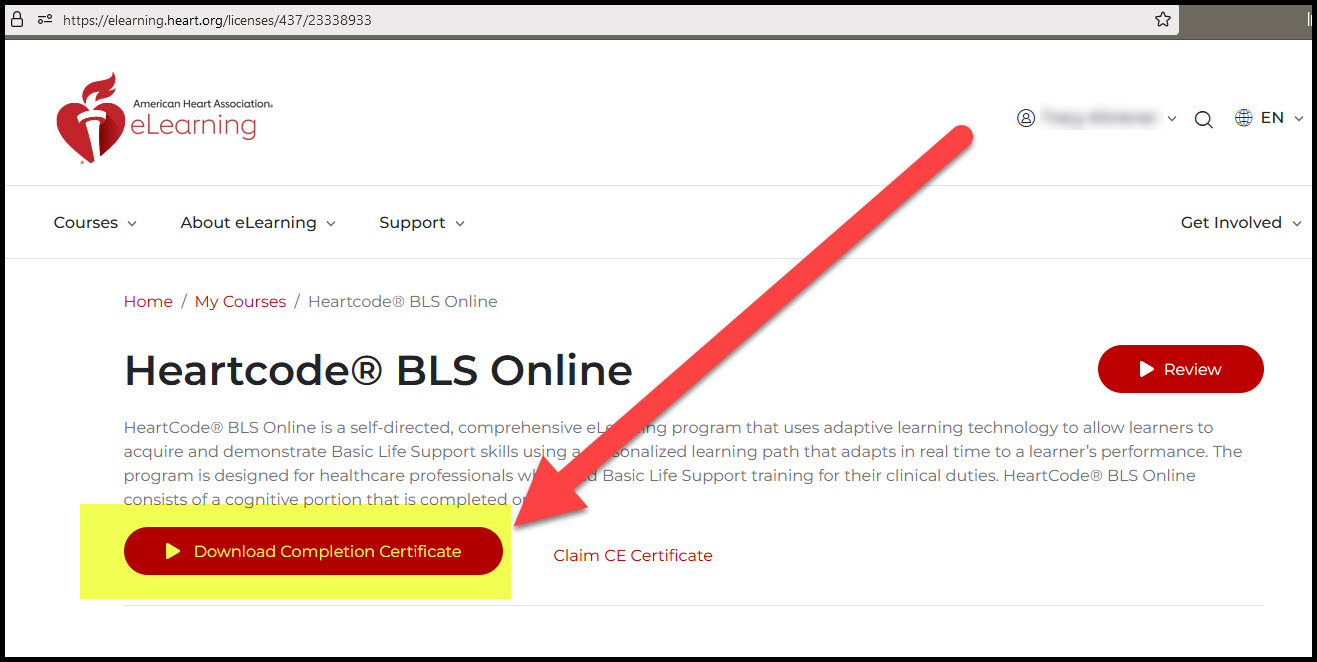 How to Offer Certificates of Completion in Your Online Course