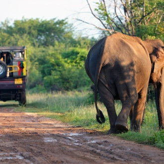 tourhub | Exodus Adventure Travels | Wild Sri Lanka 