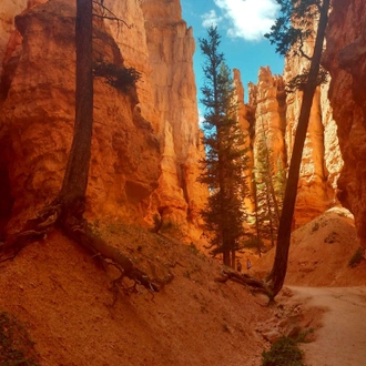 tourhub | Bindlestiff Tours | 3-Day National Parks Tour: Zion, Bryce Canyon, Monument Valley and Grand Canyon from Las Vegas with Camping 