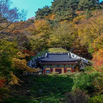 tourhub | Bamba Travel | Korean World Heritage Adventure 10D/9N 