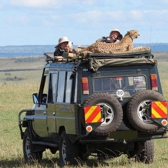 tourhub | Gracepatt Ecotours Kenya | 3 Days Masai Mara Wildlife Luxury Jeep Safari 