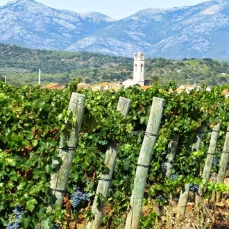 tourhub | Ibero Cycle Tours | La Rioja - The Descent of the River Ebro Cycling Tour. 