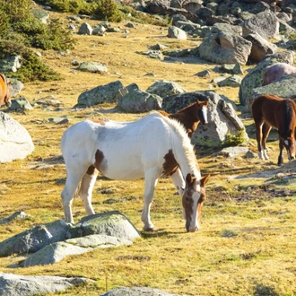 tourhub | Exodus Adventure Travels | Walking the Rugged Pyrenees of Andorra 