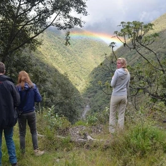 tourhub | Tangol Tours | 4-Day Manu National Park Tour: World Biosphere Reserve from Cusco 