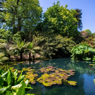 tourhub | Brightwater Holidays | England: Summer Gardens of Cornwall 5214 