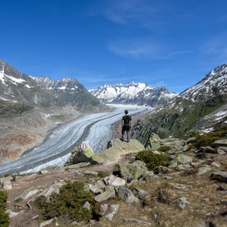 tourhub | Exodus Adventure Travels | Walking the Valais Matterhorn Region - Premium 