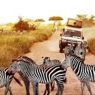 tourhub | Akondo Adventures | 5-Day Affordable Northern Tanzania Safari 