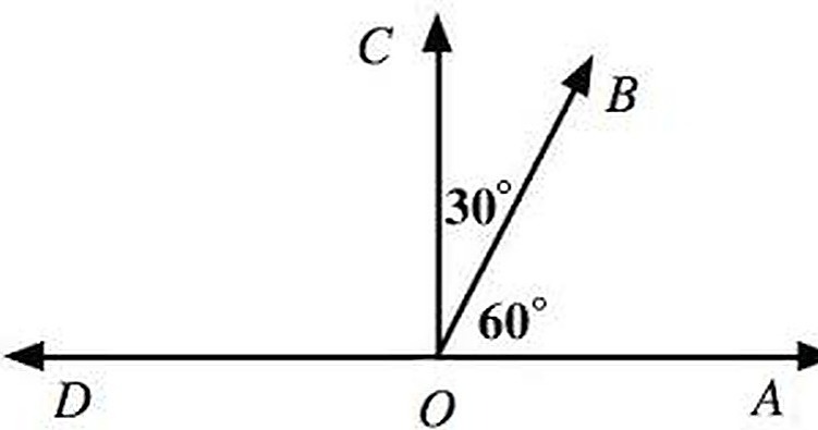 Угол y. Комплементарные углы. Угол 10 процентов рисунок. Complementary Angles.